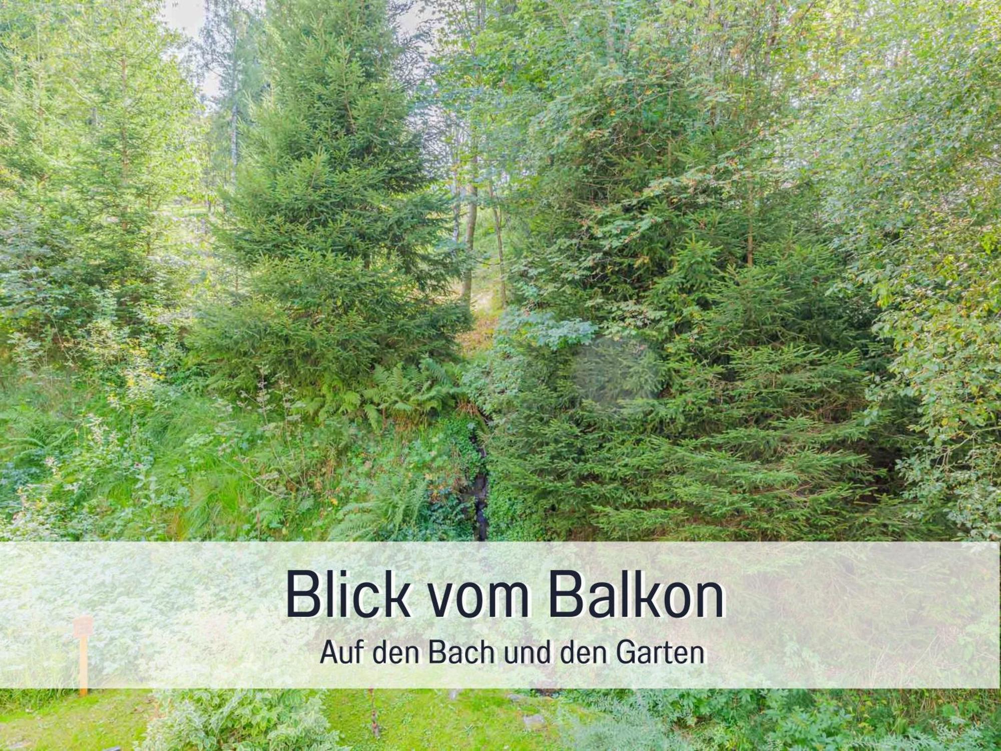 Baechle Im Wanderparadies Balkon Mit Blick Auf Den Bach Sauna Im Haus Tiefgarage E-Ladestation Todtnauberg Exterior photo